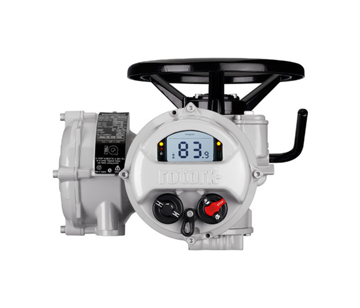 羅托克電動(dòng)執(zhí)行器角行程型號(hào)可以調(diào)整速度嗎？如何操作？